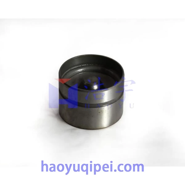 Supply Haoyu 85006400,22231-23001